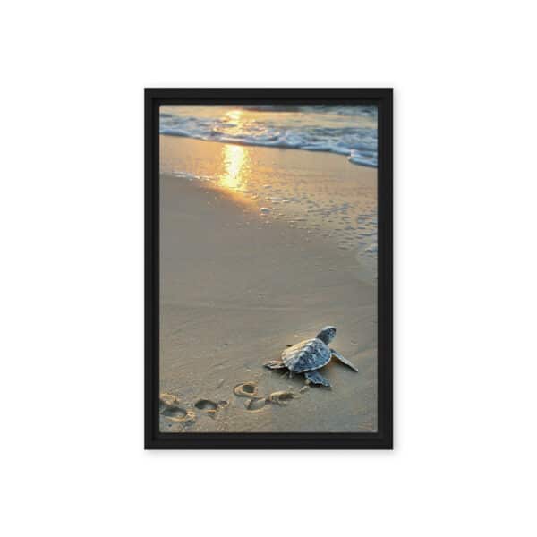 First Steps: Baby Sea Turtle on Sunrise Beach - Image 2