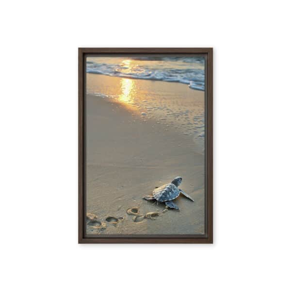 First Steps: Baby Sea Turtle on Sunrise Beach - Image 3