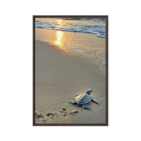 First Steps: Baby Sea Turtle on Sunrise Beach - Image 4