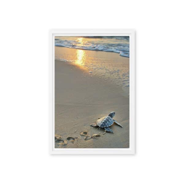 First Steps: Baby Sea Turtle on Sunrise Beach - Image 5